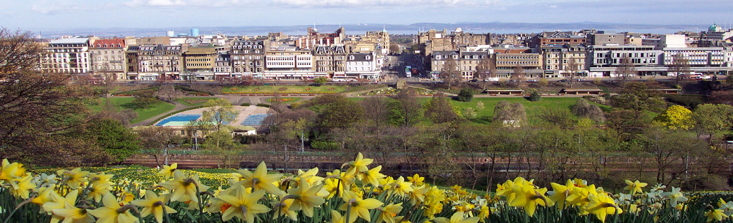 Princes Street and New Town seen through the spring-time daffodils planted at Edinburgh Castle