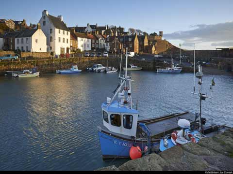 Looking over Crail harbour 