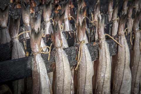 Hung pairs of Arbroath Smokies being cooked and smoked  