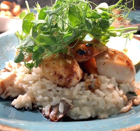 Tasty scallops served with mushroom risotto from Cuchullin Restaurant