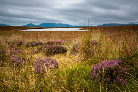 View towards Ben Loyal