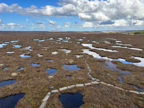 Blanket Bog near Forsinard