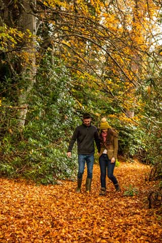 Couple taking an autumn walk