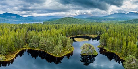 Guide to The Cairngorms National Park | Scottish Tours Blog